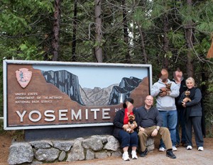 Mental Health Team with Clients in front of Yosemite Sign
